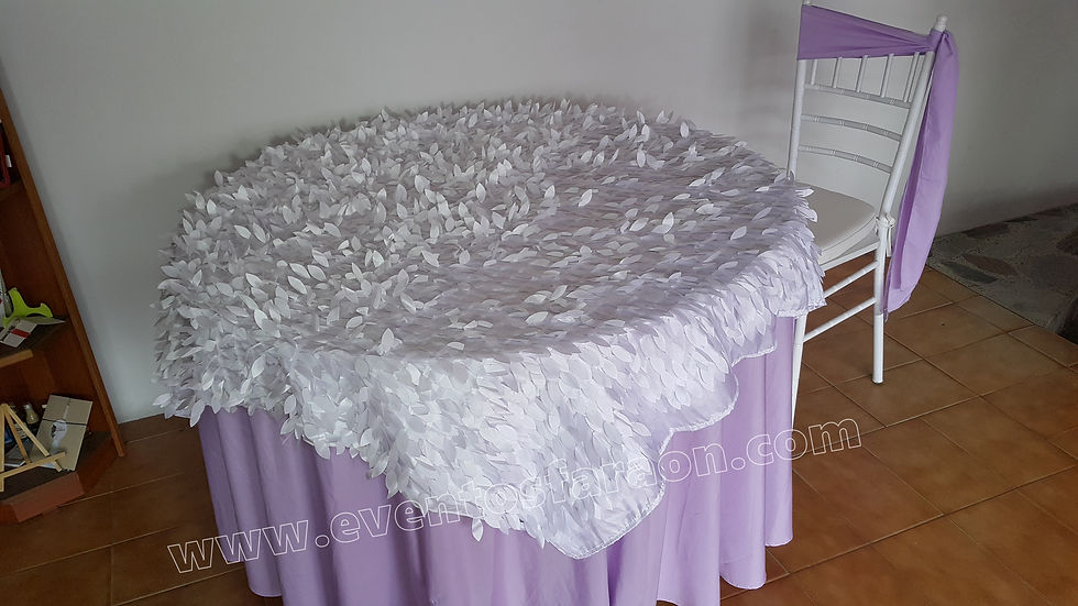 Miniatura: SOBREMANTEL BLANCO EN HOJAS