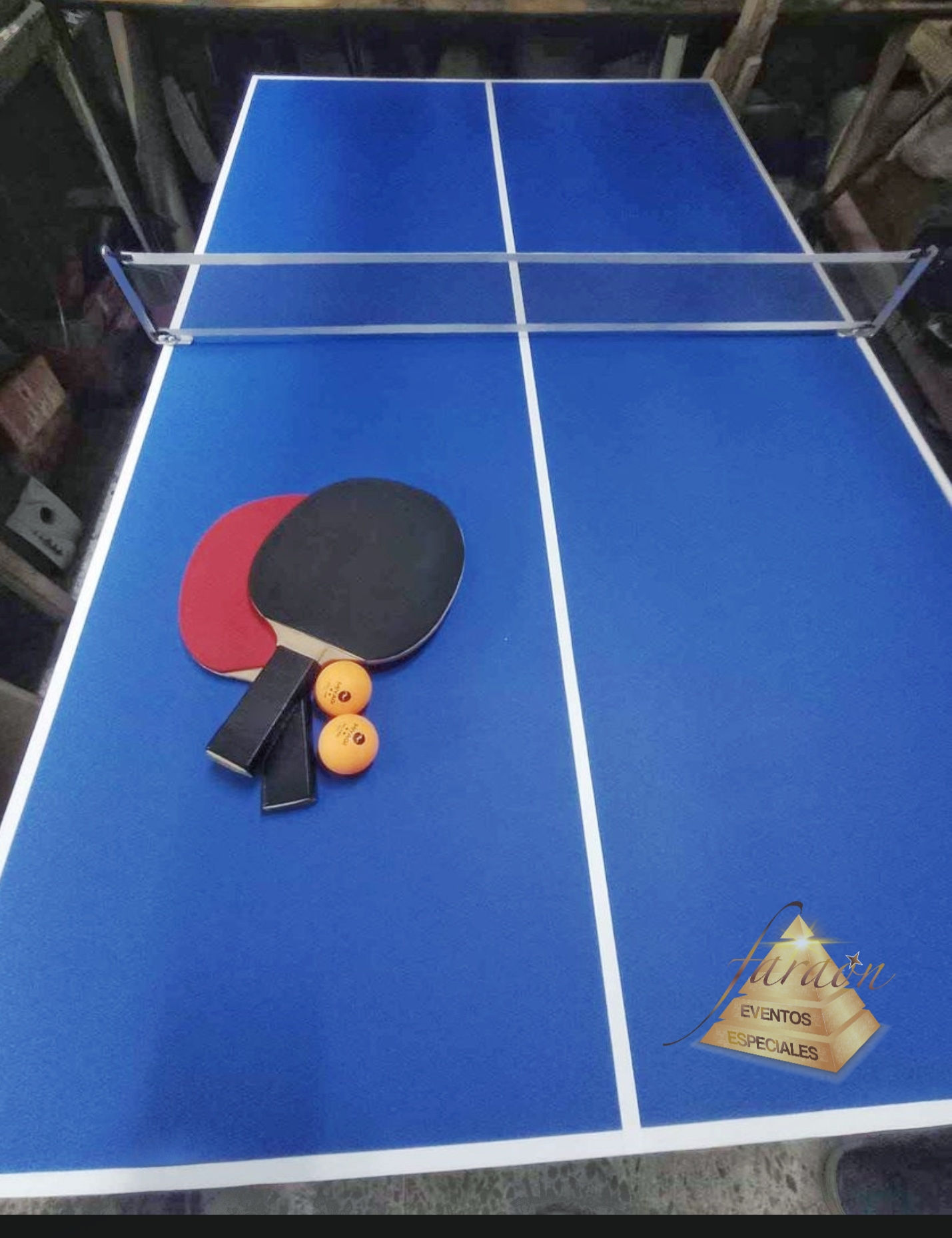 MESA DE PING PONG