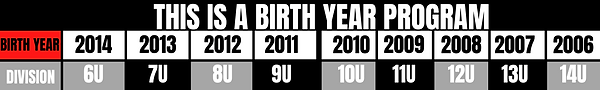 THIS IS A BIRTH YEAR PROGRAM.png