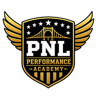 PNL Training Academy Logo