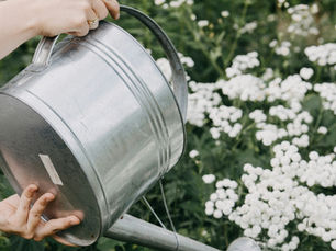 Let’s Talk: Building an Intentional Culture