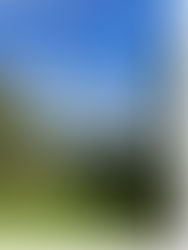 Change Management- it's a beautiful day