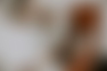 Why Emotional Intelligence Is the Cornerstone of Executive Coaching