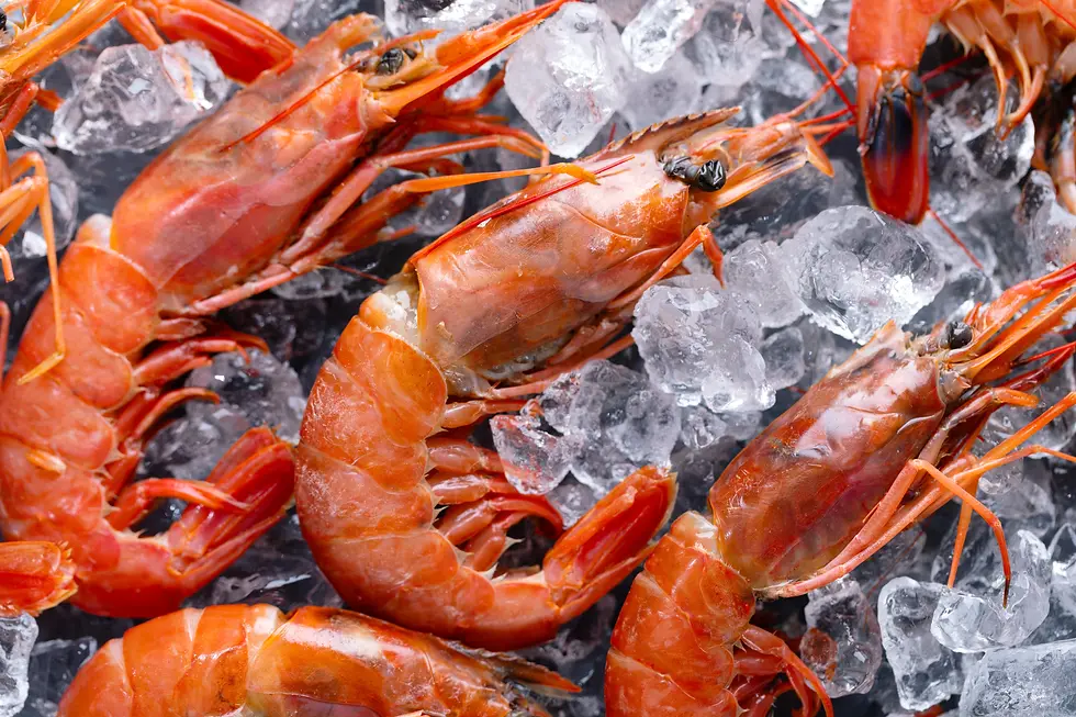 crevettes-crues-sur-des-cubes-de-glace (1).webp