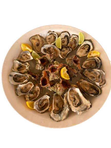 Plateau aux fruits de mer classique