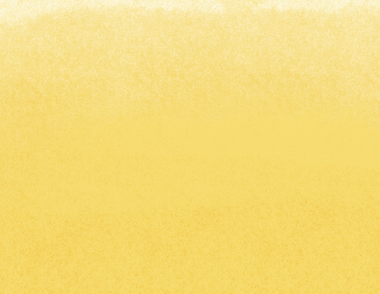 yellow_riso texture bg_top FADE.png