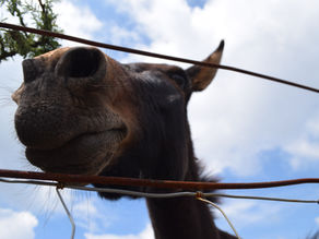 Ralentir pour mieux vivre