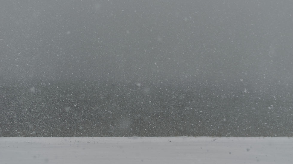 Chis Snow Storm_Can_2025