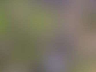 * Ode à la Lavande 💜