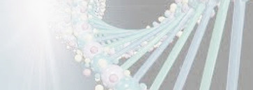 Image ADN_edited.jpg