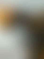 A Paramount vai lançar "Bumblebee", em dezembro de 2018