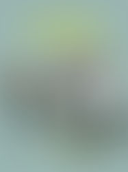 "Uma Família Extraordinária" ganha trailer e data de estreia