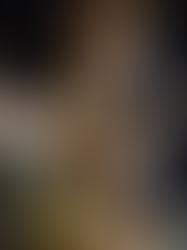 HARRY POTTER™: THE EXHIBITION inicia venda de ingressos a partir de 50 reais