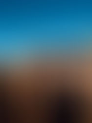 Coala Festival anuncia data de sua nona edição