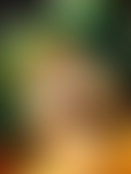 Roda Rico estreia programação de Natal com árvore temática de "Patos!" e presença da patinha Gwen