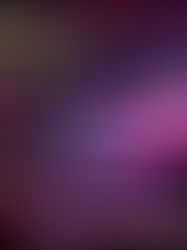 Netflix divulga o teaser de Griselda, protagonizado por Sofía Vergara