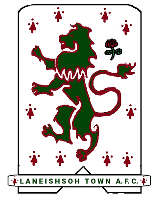 badge no background fill outline on edges.png