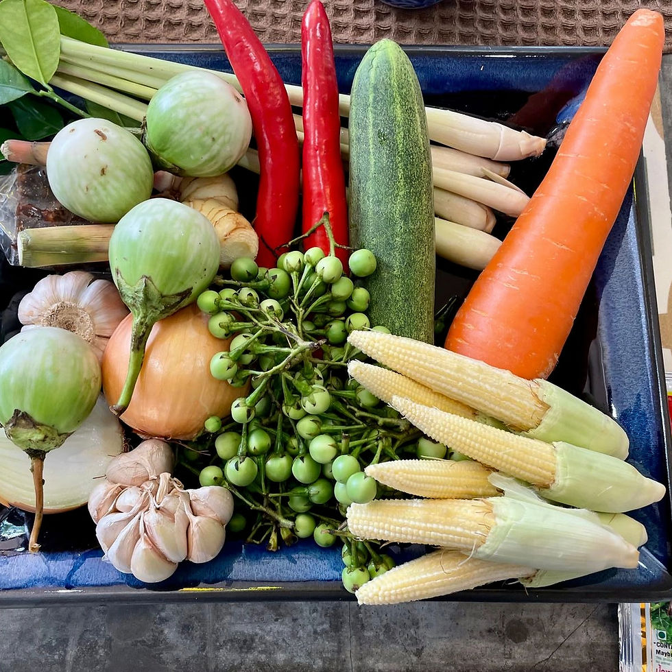 Légumes frais authentiques utilisés dans les currys thaïlandais, y compris le curry rouge.