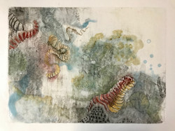 Wood lithograph print