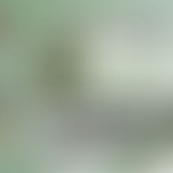 2026年4月 仲景中医学院读书会