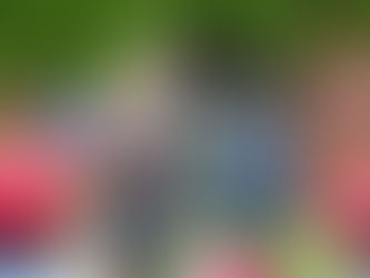 2年生活科「生き物しらべ」