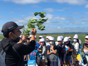 プロジェクト大豆(3年生総合学習)