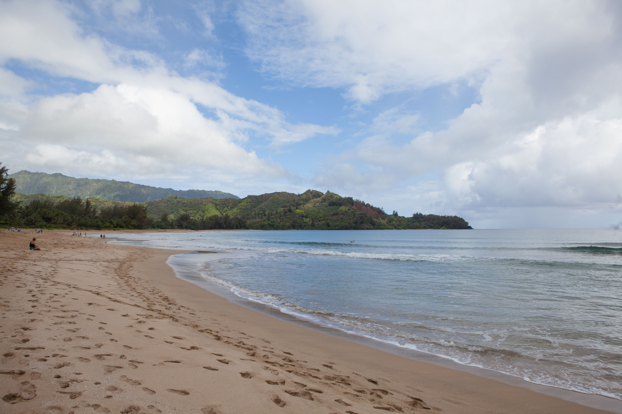 Mark Robbins Photography