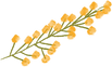 AEnB2Urm-6YoU3Z3hT5OaoVRlryDrtArJyr1Jii7