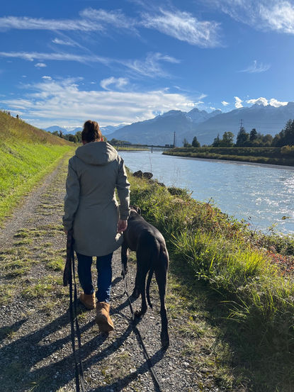 Hundetraining in Buchs
Aggressionen g.g.ü. Hunden
Leinenführigkeit
Welpensozialisierung