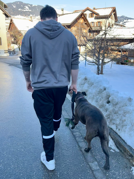 Hundetraining in Ilanz und Umgebung Aggressionen g.g.ü. Hunden
Leinenführigkeit
Welpensozialisierung
