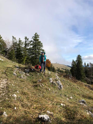 Hundetraining in Graubünden Aggressionen g.g.ü. Hunden
Leinenführigkeit
Welpensozialisierung