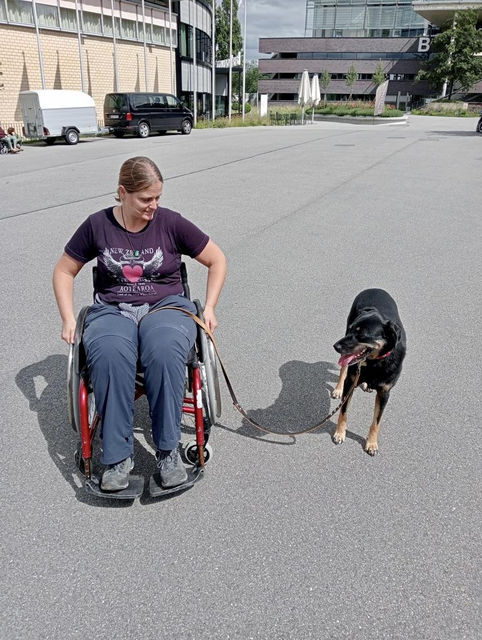 Hundetraining in Graubünden Aggressionen g.g.ü. Hunden
Leinenführigkeit
Welpensozialisierung