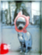 dogieee_edited_edited_edited