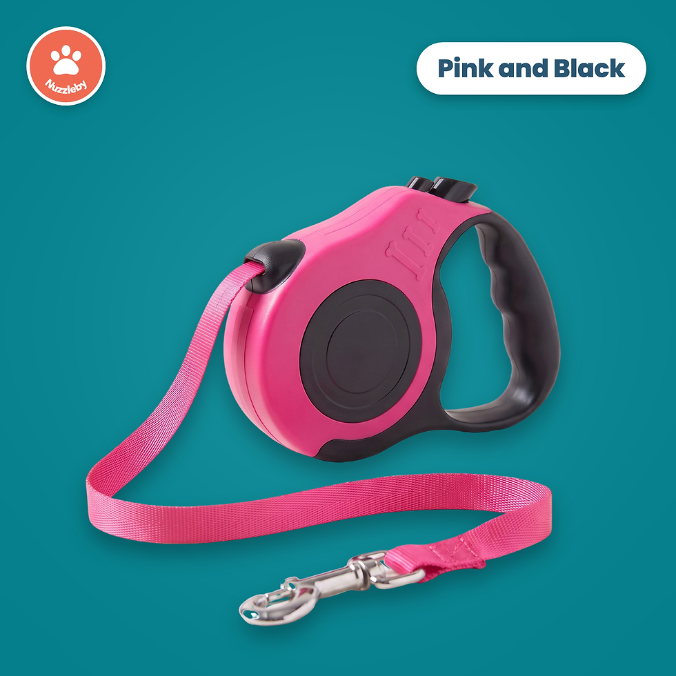 Thumbnail: Retractable Dog Leash