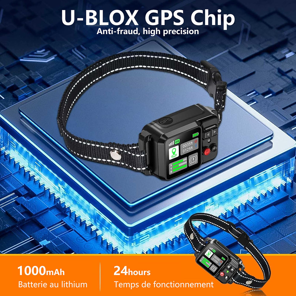 Thumbnail: Dog Collar GPS Wireless Fence