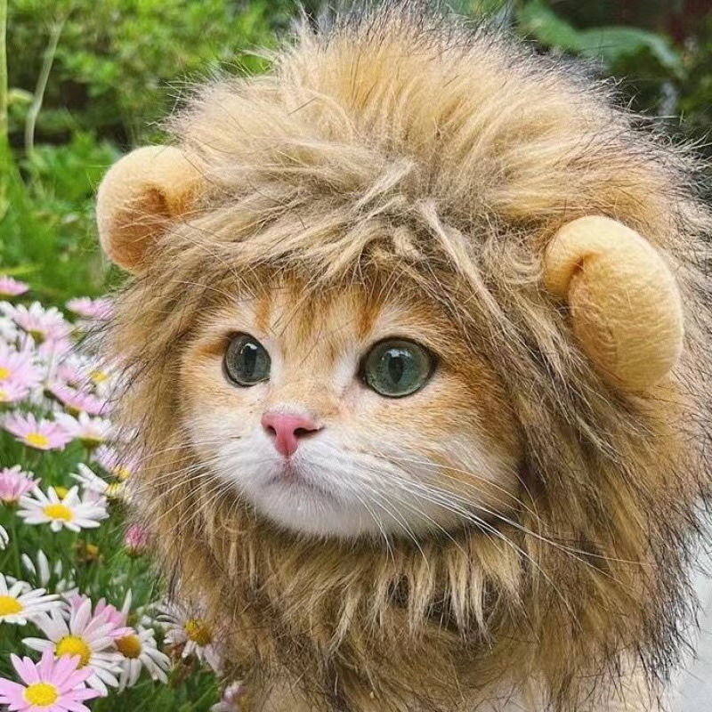 Cute Cat Lion Costume