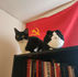 Why Marxism-Leninism?