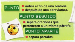 PUNTO.jpg