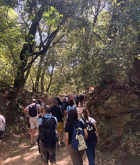 Mandas-Laconi (7).jpg