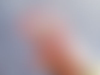 Bague pièce de monnaie : signification et symbolique