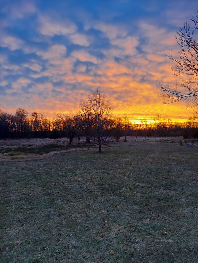 20231207_070746.jpg