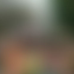 Photos du stage dans le Nord Vietnam 2023