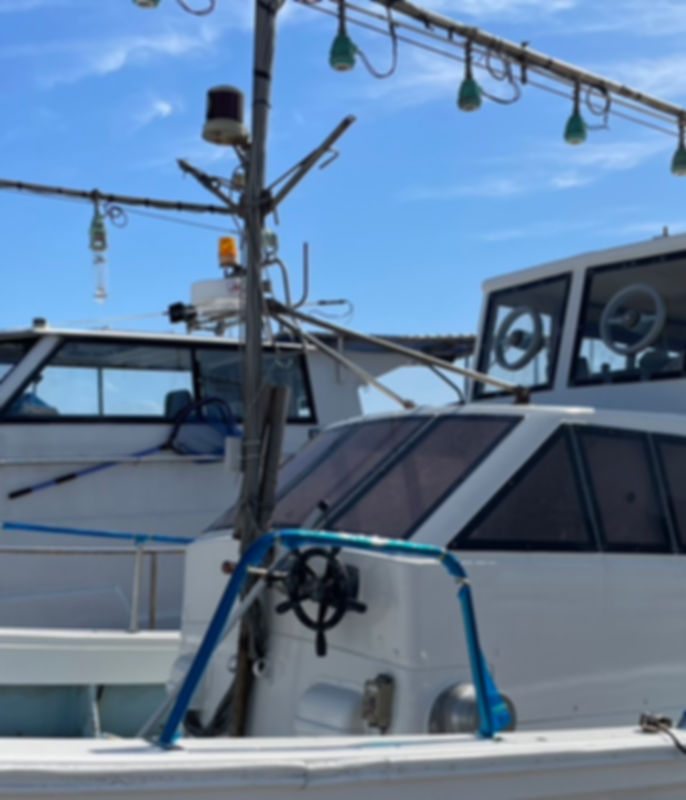 S__110845961_0.jpg