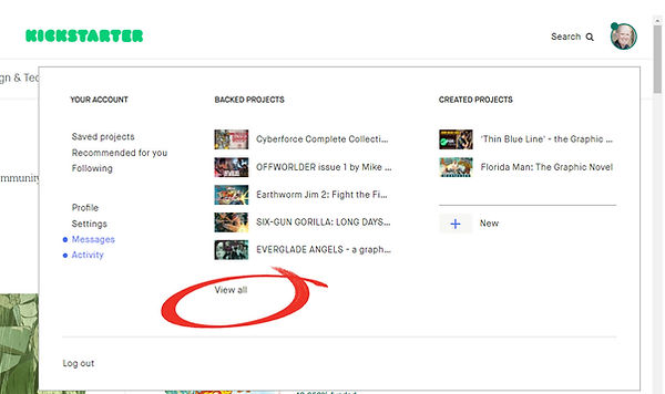Kickstarter example page