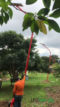 Municipalidad de Curridabat