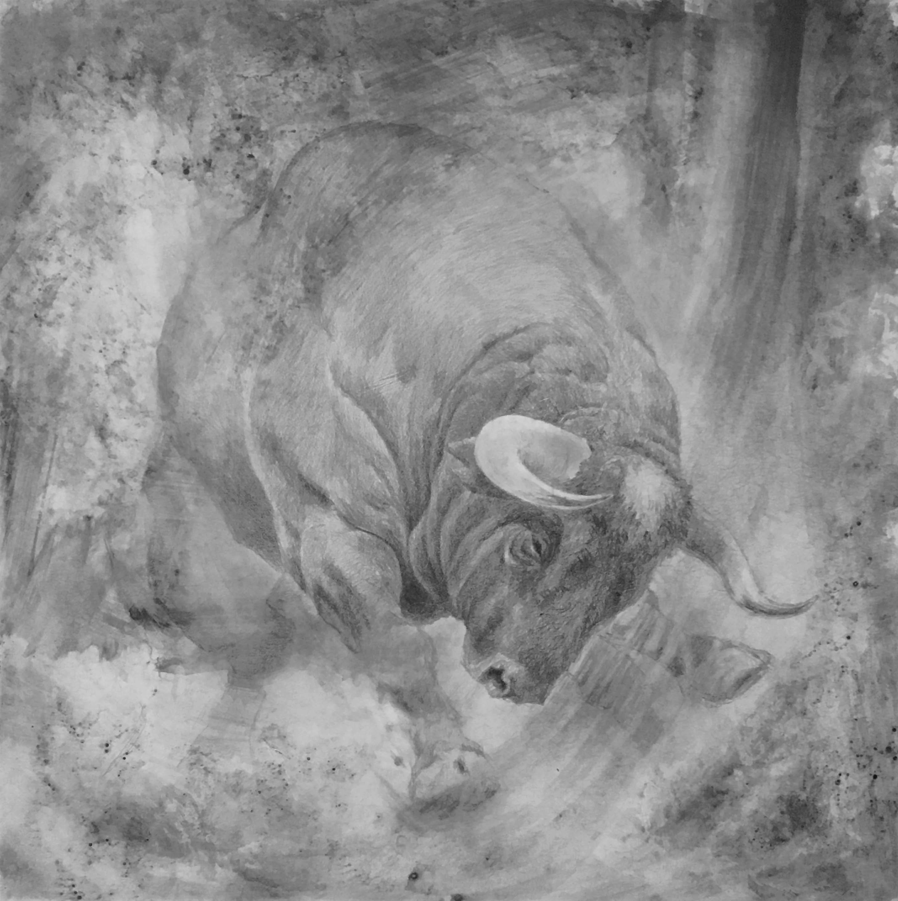 Toro de Lidia 9