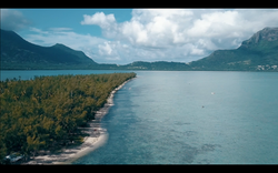 Special events on Benitier Island
