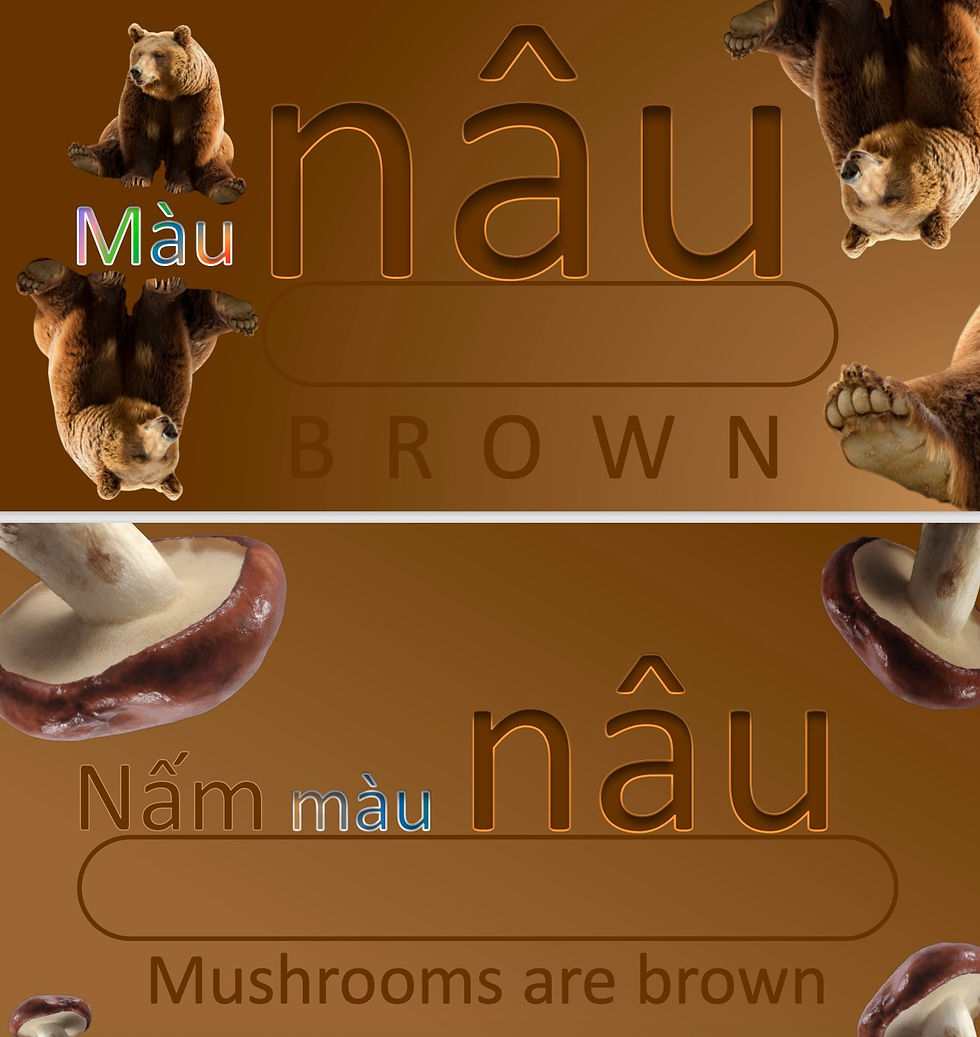 Thumbnail: Learn Colors in Vietnamese with Examples