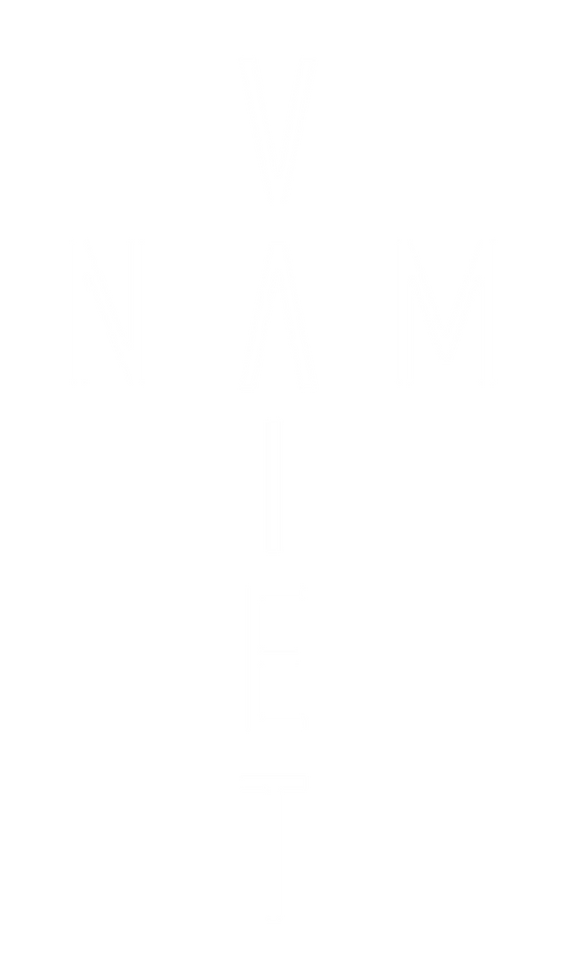 vietnam cross shape whte.png