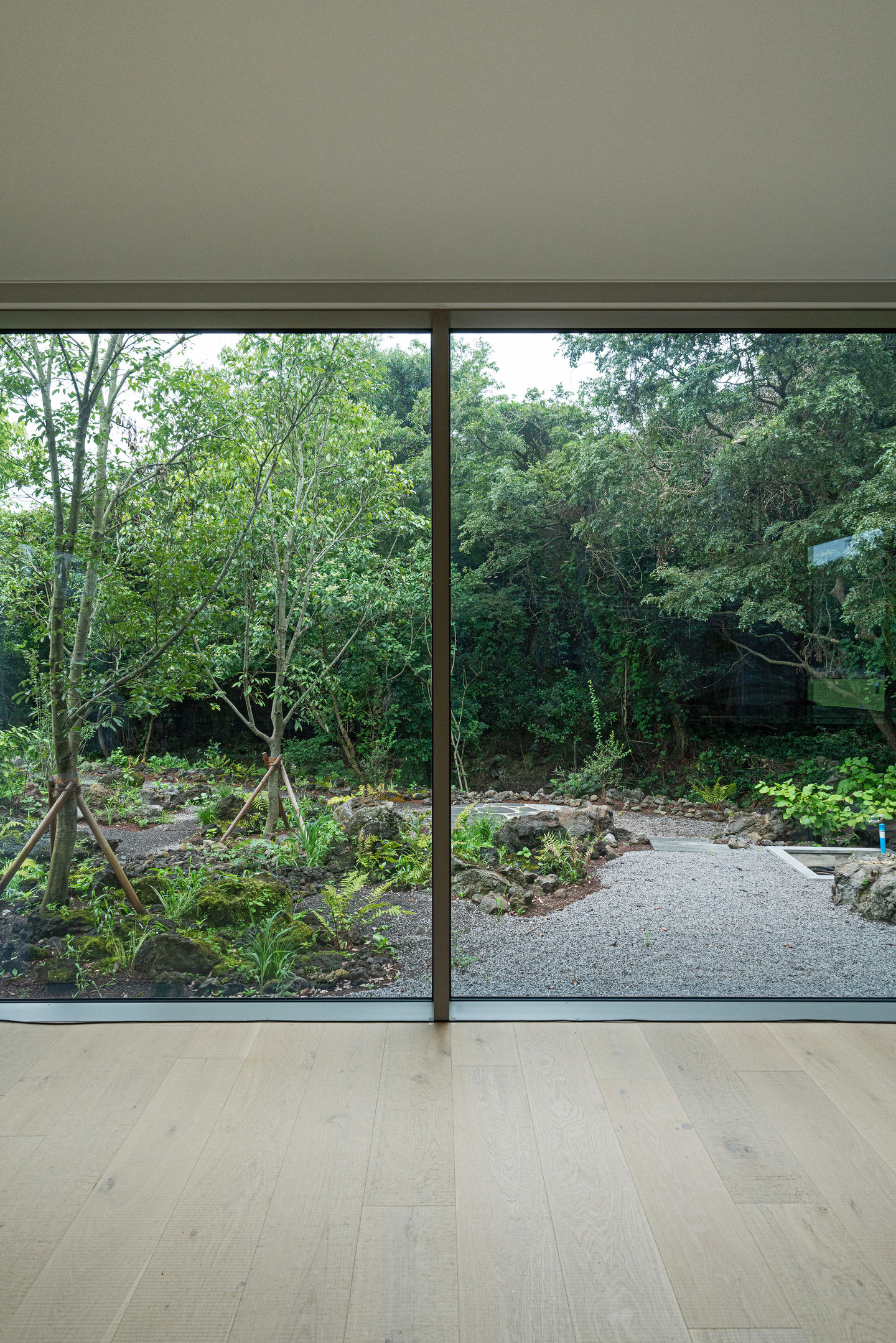 Dwelling in Gotjawal interior view toward forest transparency Kim-O Architects